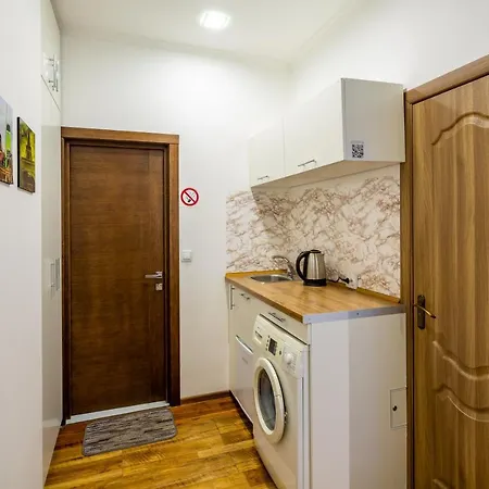 Cozy Center Appartement Lviv