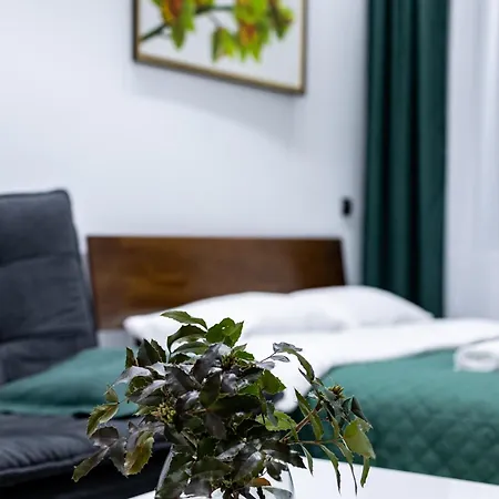 Cozy Center Appartement Lviv