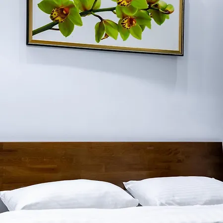 Apartman Cozy Center *