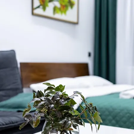 Cozy Center 公寓 利沃夫
