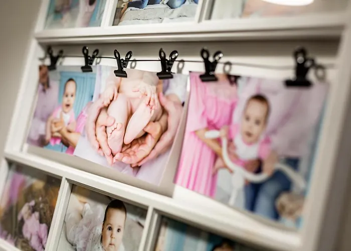 شقة Cozy Center إلفيف