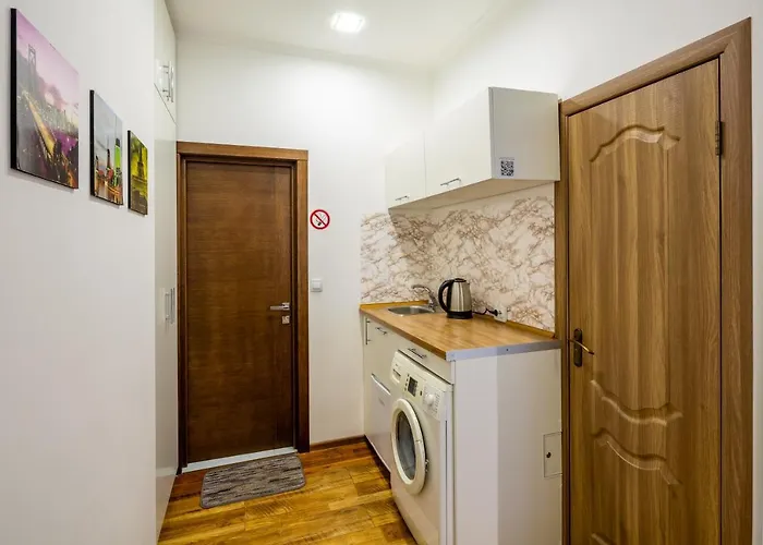 Cozy Center Apartman Lviv