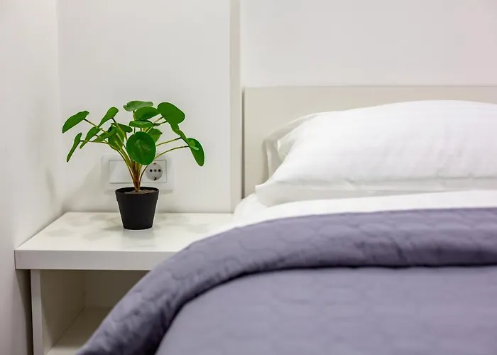 Cozy Center Apartman *